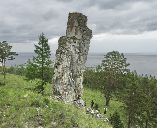 тН046 ПечкаРис