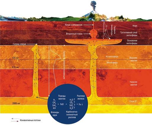 Рождение и развитие мантийного плюма в направлении поверхности планеты обусловлено не столько тепловой конвекцией, сколько термохимическими реакциями во флюидной смеси, продукты которых являются более легкоплавкими, чем породы мантии. Когда голова плюма достигает тугоплавкого слоя литосферы, плюм растекается по его подошве. Над плюмовым каналом при этом начинает формироваться вторичный плюм. Растущие термические напряжения приводят к образованию трещин в коре, через которые спустя 7—12 млн лет происходит массовое извержение магмы на поверхность. Рассчитанные профили температуры демонстрируют динамику прогрева коры во времени. По: (Добрецов и др., 2008)